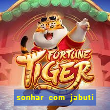 sonhar com jabuti o que significa